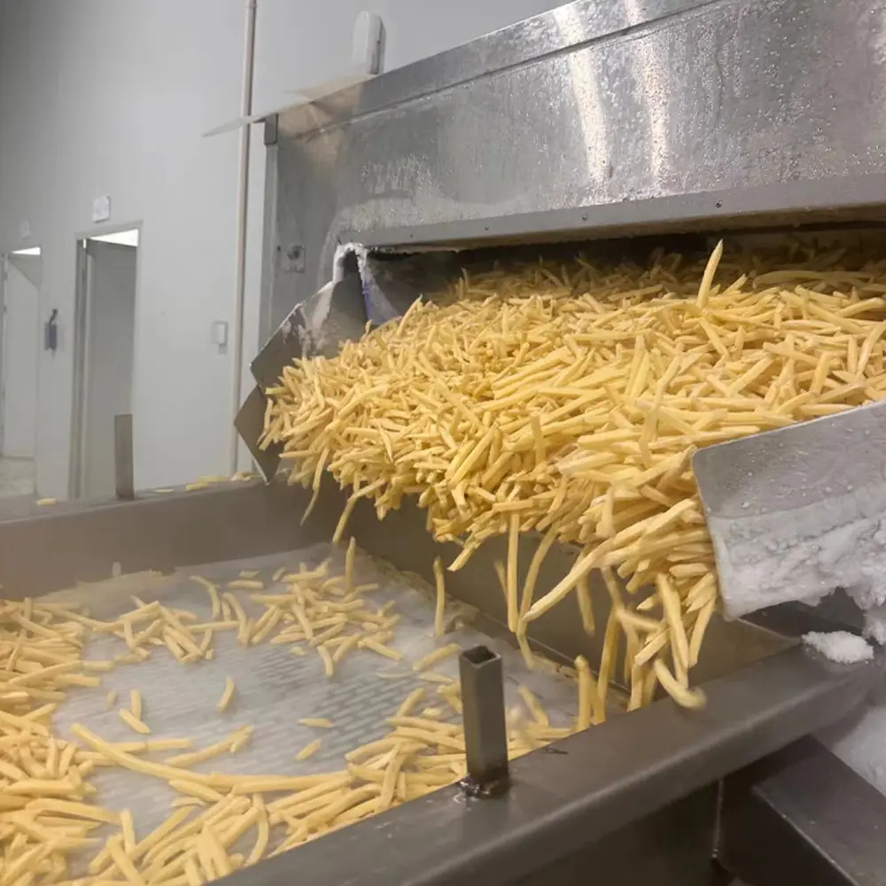 Go To The Factory And Discover How French Fries Are Madeap7