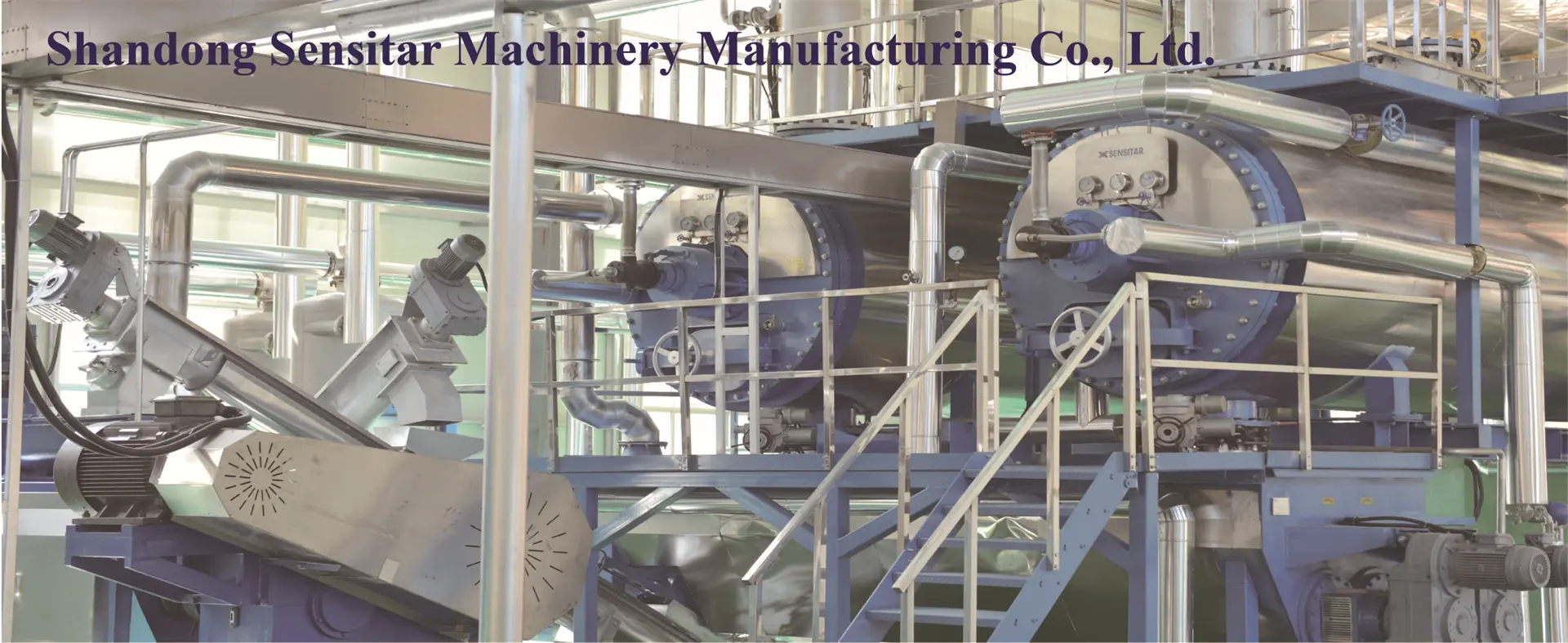 Potato Chips Production Line