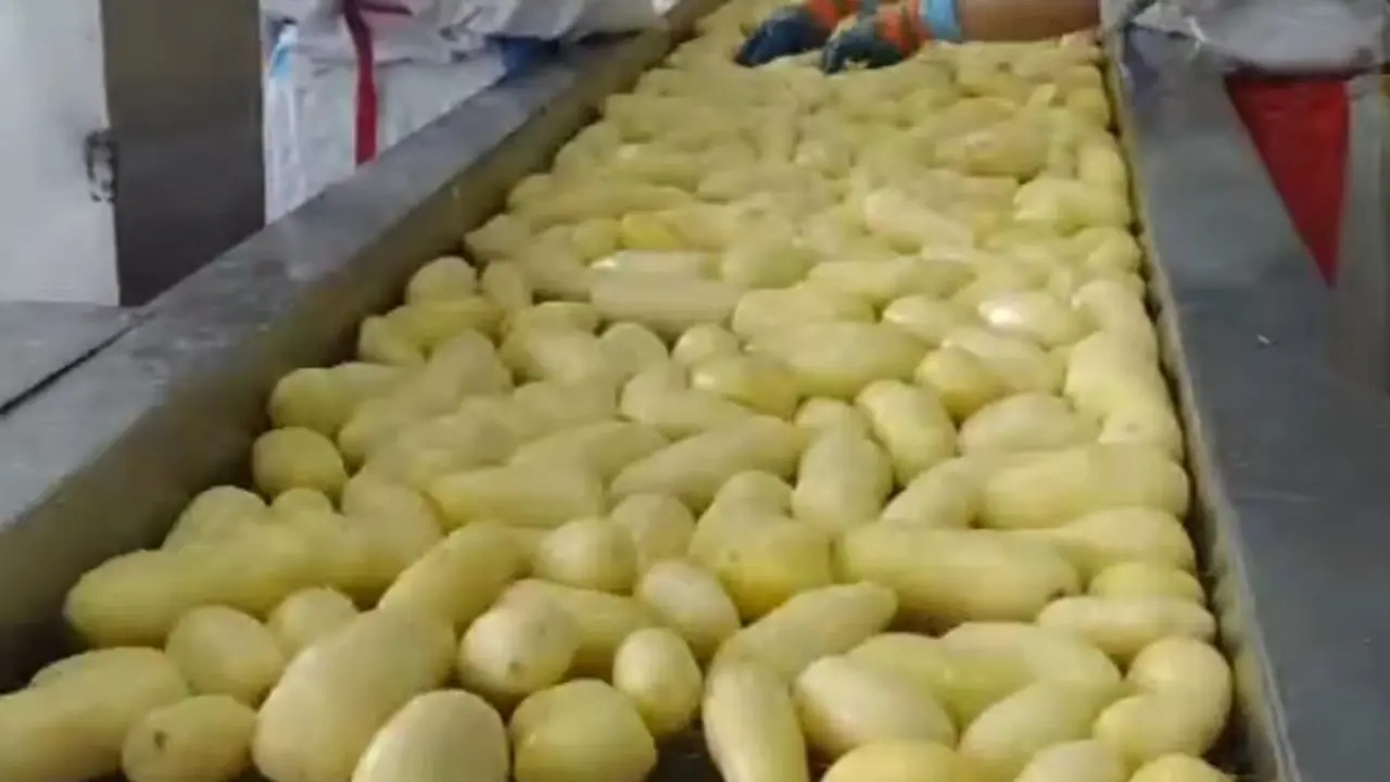 Go To The Factory And Discover How French Fries Are Madel64